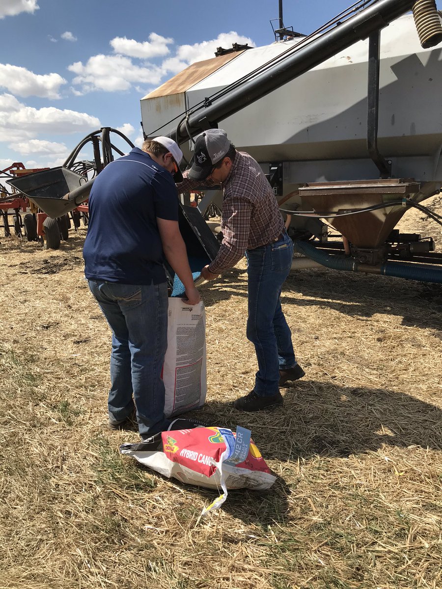 ireland_89's tweet photo. @UFAcooperative canola plots went in today. Beauty of a day for planting! Here’s hoping we get to tour these in a few months. @lemay_megan @MenzakShane @BASFCanada @MNesbitt_Dekalb @Bayer4CropsCA @CortevaCA @kmunro2008 https://t.co/kRdpu92yao