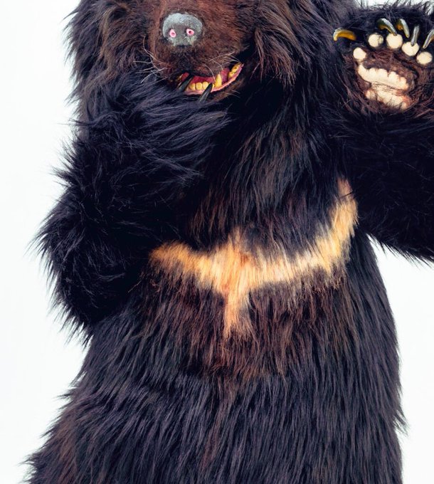 リアル熊のtwitterイラスト検索結果