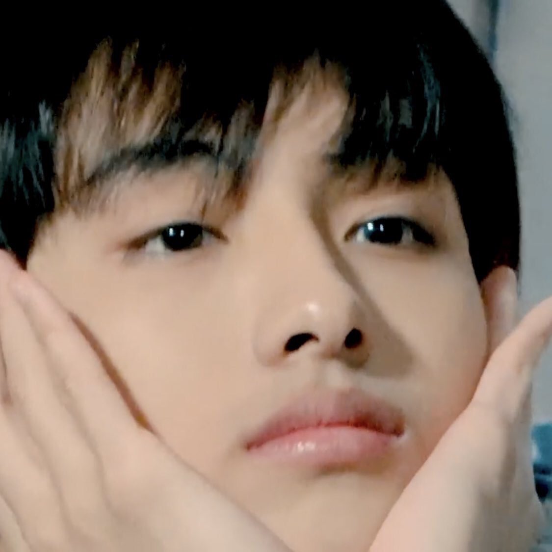 adorecxk's tweet photo. anyways here are the cutest sicheng pics to cleanse your tl https://t.co/IwEdRUurxr