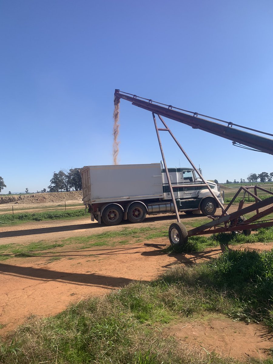 Adam somerville tweet media