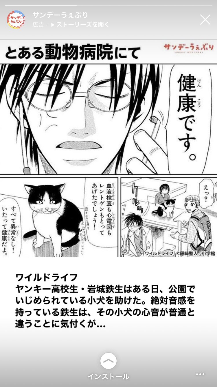 ひまりこ わたしにはどうしても猫に見えてしまう サンデーうぇぶり T Co 13dzhx6yth Twitter