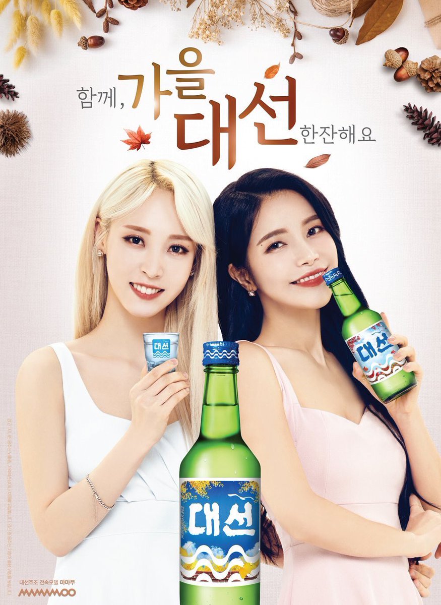 i swear daesun made it their job to always pair up moonsun for the soju ads