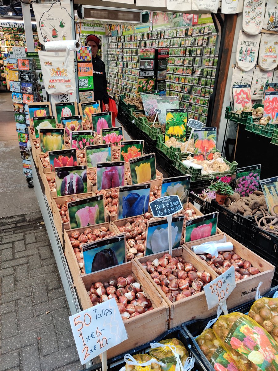 Next is Bloomenmarkt. This is one of the biggest flower market in Europe.TIP: If you wanna buy souvenirs, beli kat sini. Murah gila! Tapi jangan beli tanaman ganja pulak  Kan ada yang kena tahan dekat airport.