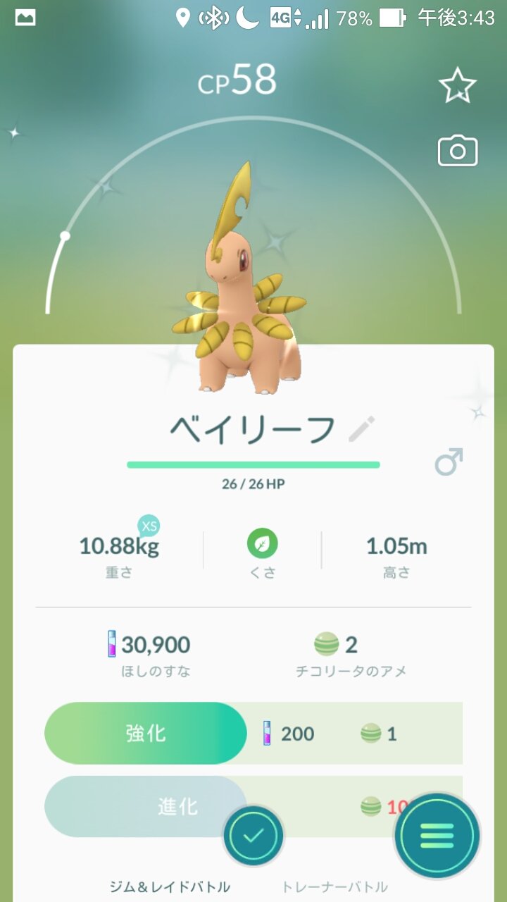 Kaito Yoyo1a Sur Twitter 今日ベイリーフとマグマラシ進化させました バクフーンと オーダイル好きなので 早く進化させたい Pokemongofriend Pokemongo ポケモンgoフレンド募集 ポケモンgo ポケモンと生活 ポケモン色違い T Co 9qnaraa4nd Twitter