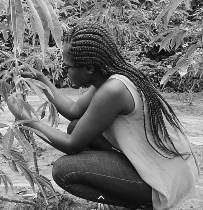 CONNECTED_Virus's tweet photo. 🌿🦟Here's network member Chantal Nyirakanani, PhD student @AgroBioTech, who is working on #cassava viruses particularly CBSV, helping show our network members are #CONNECTEDforever
You can join our network free https://t.co/b9mtaGgKJP
#plantsci #entomology #planthealth https://t.co/Fb9b0k1reL