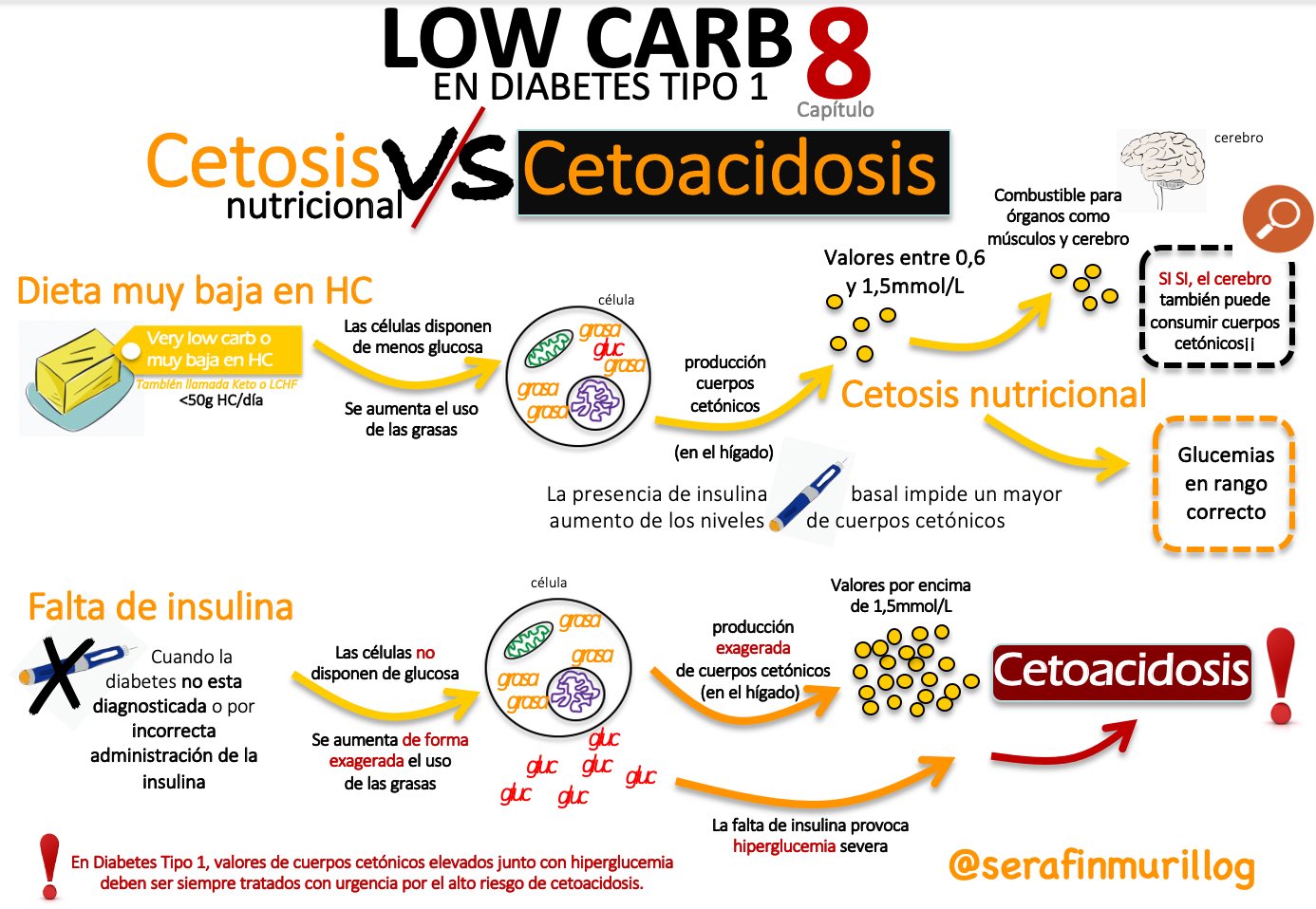 Asimila un cuerpo hidratos en cetosis