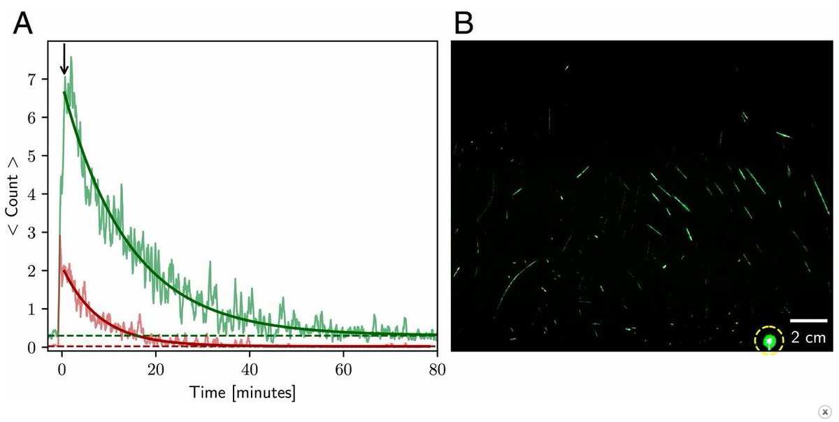 What do we know about airborne droplet spread?In speaking studies, smaller droplets (green) persist in air much longer than larger ones (red). These droplets could circulate considerably further than larger ones, which drop out of the air sooner. https://www.pnas.org/content/early/2020/05/12/200687411713/23