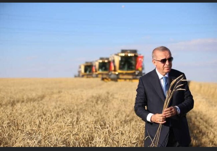 akpartidevrek's tweet photo. Alın teri,emek ve sabırla toprağın nimete dönüşmesine vesile olan tüm çiftçilerimizin 14 Mayıs Dünya Çifçiler Günü kutlu olsun. 

#DünyaÇiftçilerGünü https://t.co/UIokj0YXTi