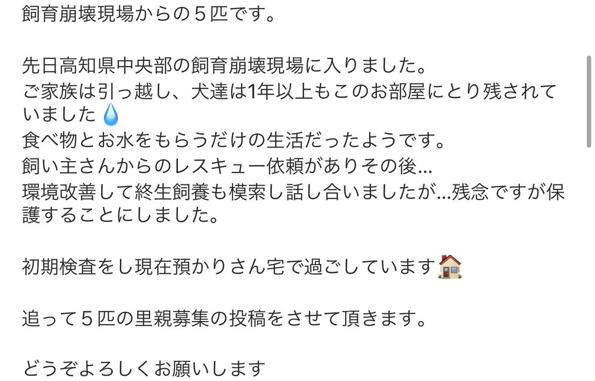 大タコちゃん🐙 tweet media