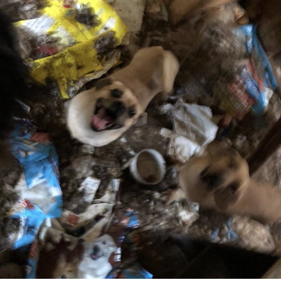 大タコちゃん🐙 tweet media