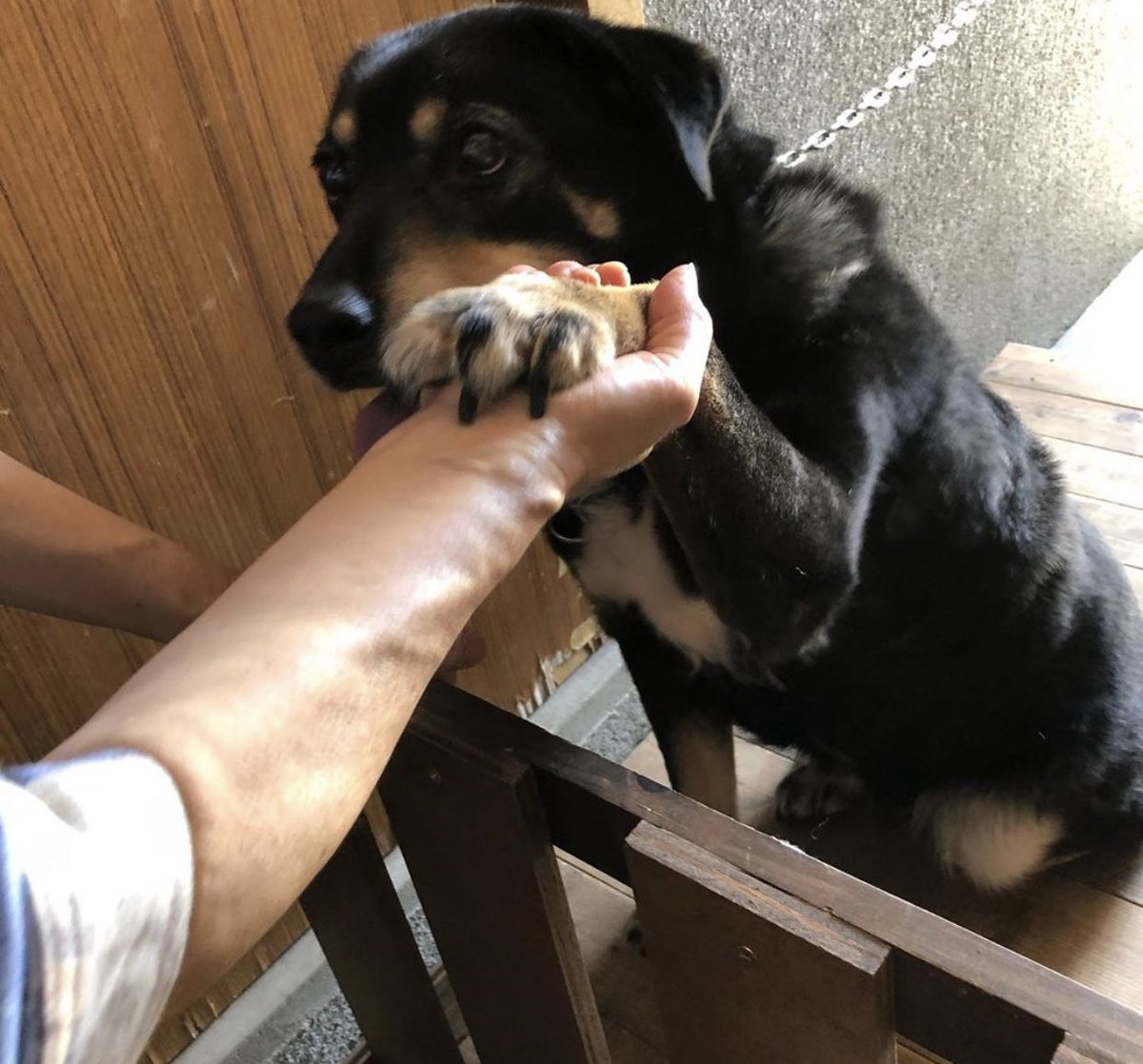 大タコちゃん🐙 tweet media