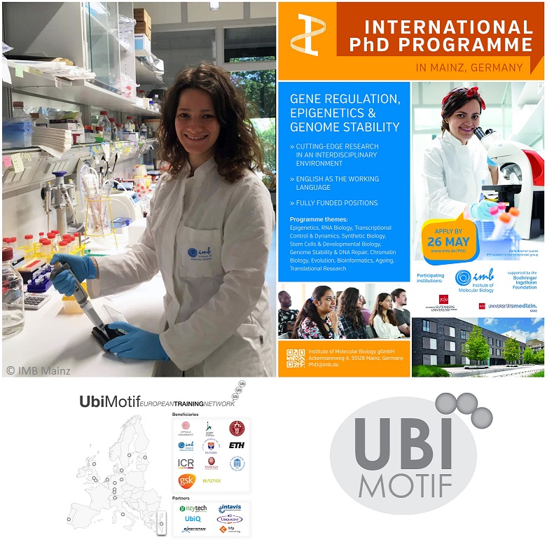 “In the Beli lab, I have many opportunities to develop my career in research. I'm using quantitative #proteomics to investigate the role of #ubiquitin in DNA damage response.” - Francesca C.

Open #PhDposition <a href="/belilab/">belilab</a> <a href="/ubimotif/">UBIMOTIF</a>
Apply by 26 May!➡️imb.de/Phd
#IPPMainz