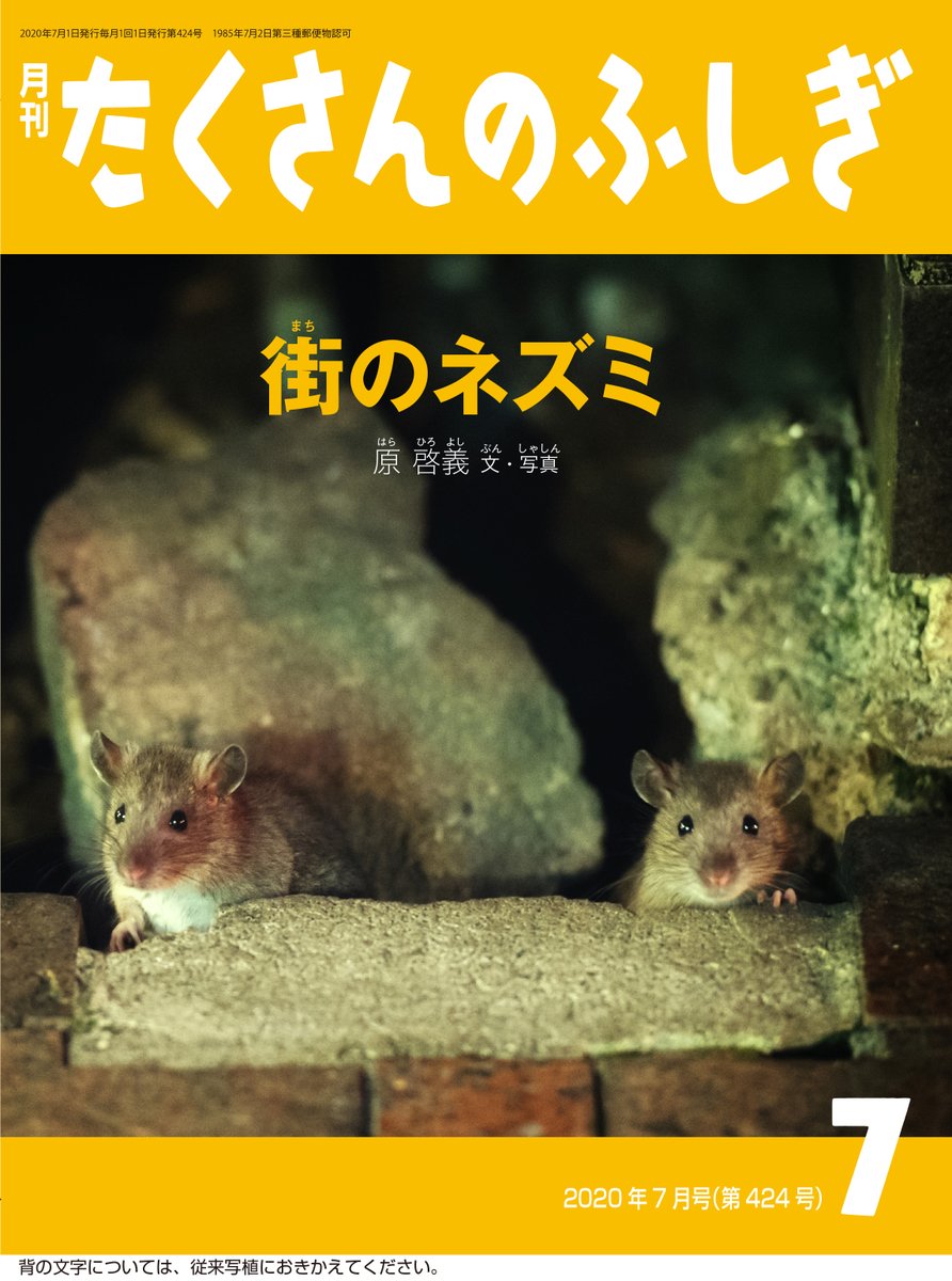 原啓義 6 22 7 5写真展 街ネズミ写真家 ネズミ本発売決定 ゚ ゚ノノ゙ パチパチ 街のネズミ たくさんのふしぎ 年7月号 福音館 定価 700円 発売日 6 2 T Co Twjni1jagt たくさんのふしぎ 街のネズミ 齧歯目 げっ歯目 げっし 原啓義 6 22 7 5写真展 街ネズミ写真家 ネズミ本発売決定 ゚ ゚ノノ゙ パチパチ 街のネズミ たくさんのふしぎ 年7月号 福音館 定価 700円 発売日 6 2 T Co Twjni1jagt たくさんのふしぎ 街のネズミ 齧歯目 げっ歯目 げっし