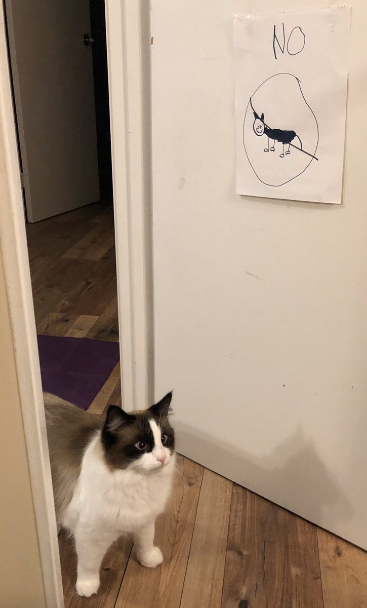 Cat walking into room with poorly drawn no cat sign