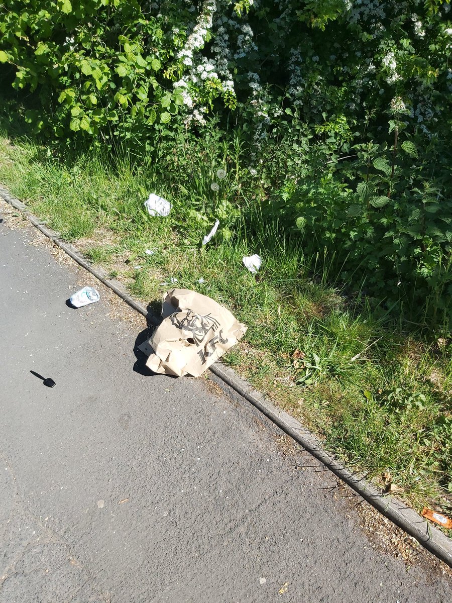 SimonPotter1's tweet photo. Morning walk with the family, ruined by the fact @KFC_UKI are open, trying to explain to an 8 year old why people need it and feel the urge to lob it out the window is beyond my simple logic... https://t.co/J563OtosYH