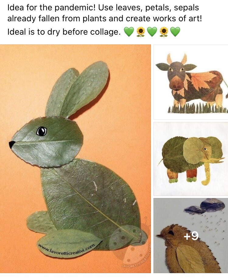 MrsN_KWPS's tweet photo. Why not collect some leaves whilst out on your daily walk and have a go at some nature art. 🍂 🍁 🍃 @Kirkcaldywestps @MadeleLynch https://t.co/JdNFF3NbG5