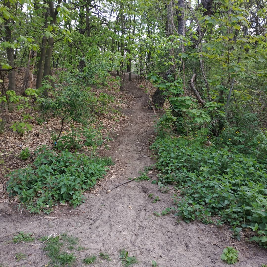 MartaStankiewi3's tweet photo. #running
#pobiegane
#podbiegi😅 https://t.co/gY6IcwmEvs