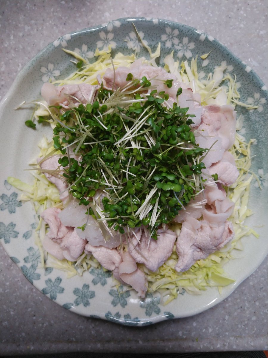 ペルゼイン 本日の夕食は冷しゃぶサラダ 春キャベツの千切りに豚肉に大根おろしにブロッコリースプラウト そしてタレ というかドレッシングはポン酢 本日の夕食 冷しゃぶサラダ