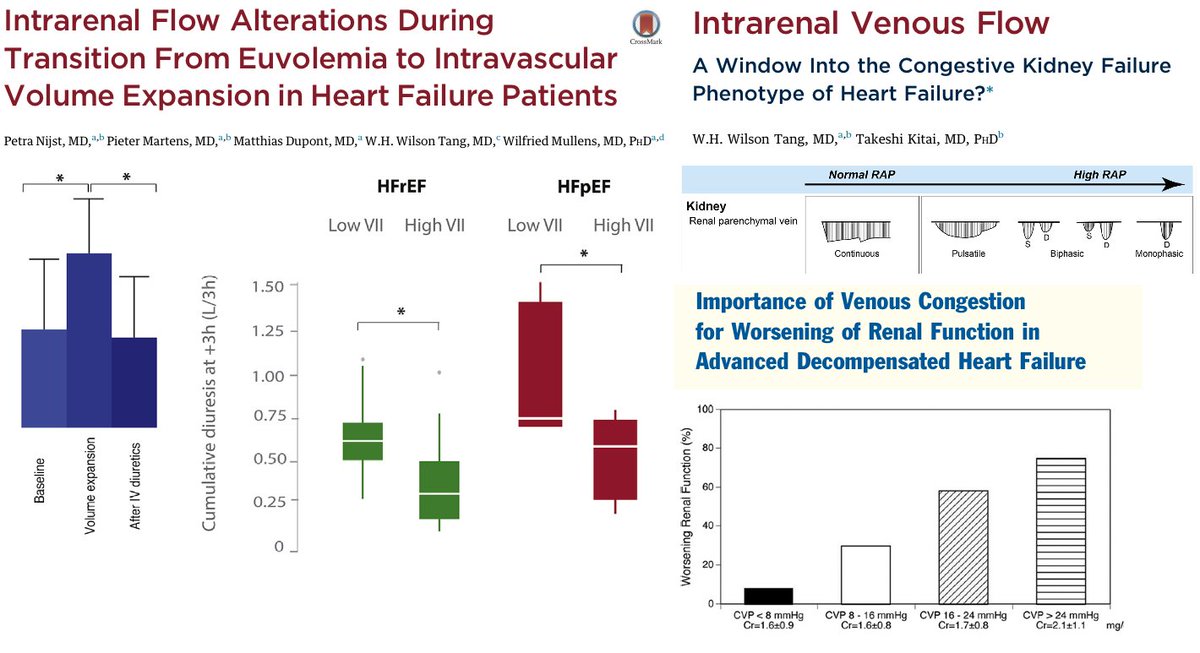 Infusing 1 L of HES to patients with compensated HFpEF altered intra-renal venous flow and this induced diuretic resistance. Increased CVP and alterations of IRVF have been linked to worsening renal function (Renosarca). ARDS / Sepsis is already a sign of poor volume tolerance