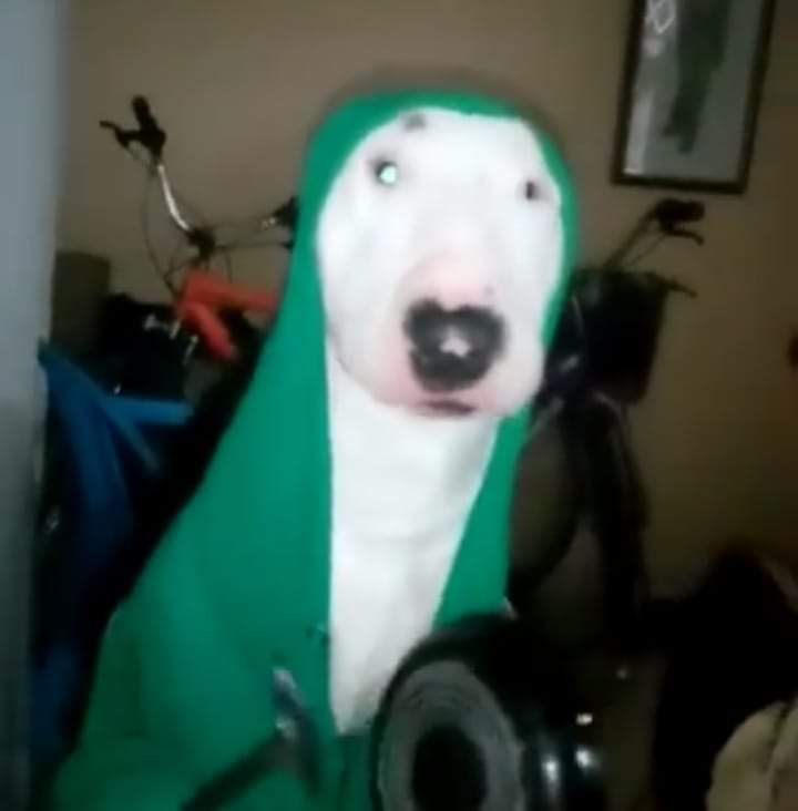 Temen2 lawas di twitter pada ngilang, ga tau entah kemana, tapi iseng liat2 follower, isi foto profil nya masi pake effect aquamarine gitu ya 😮