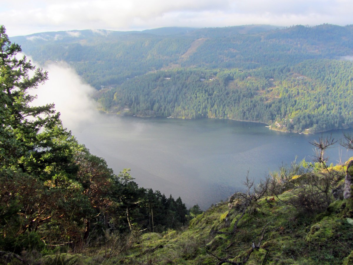 Victoria Trails tweet media