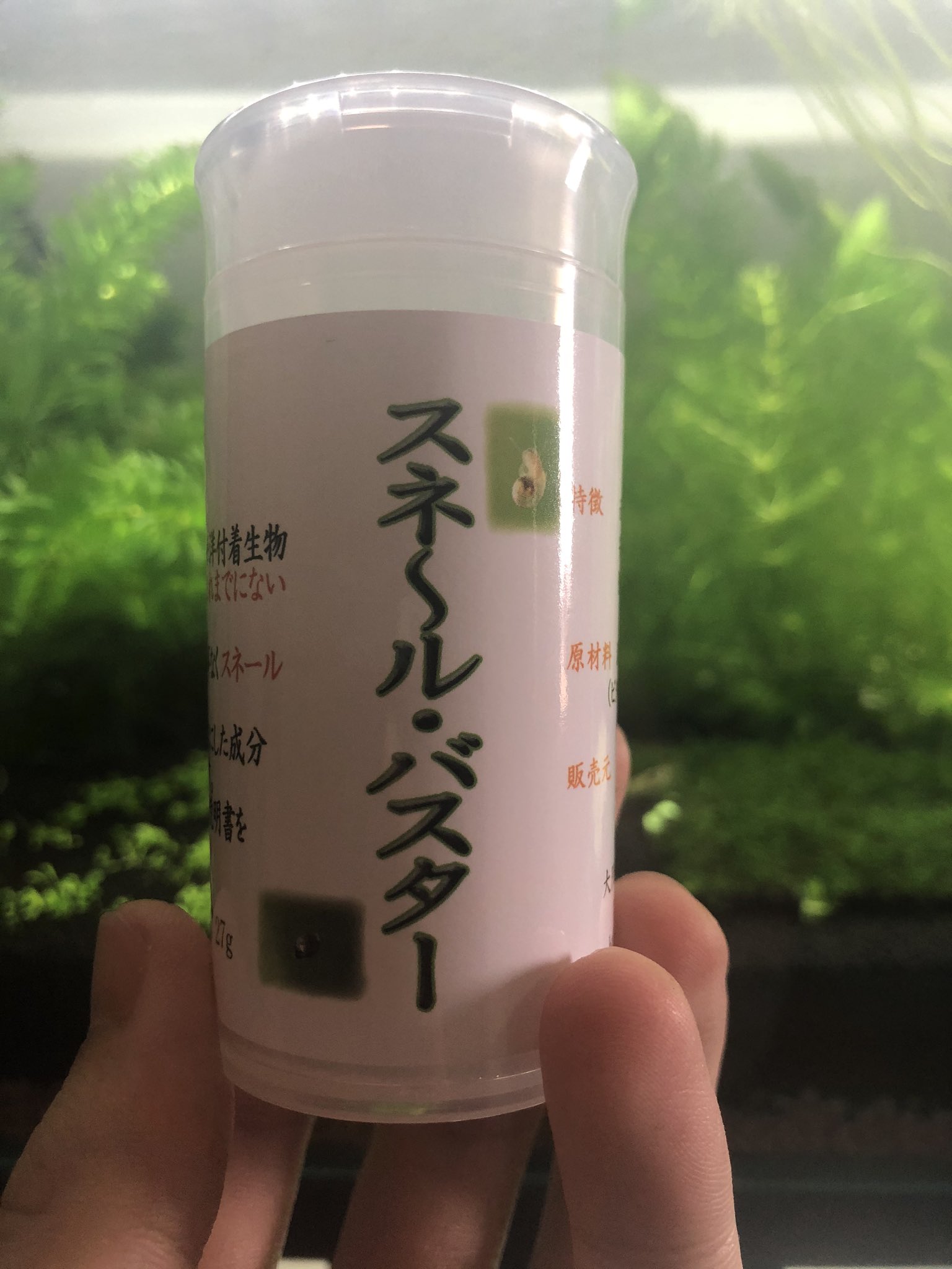 カワコザラガイ駆除 Twitter Search Twitter