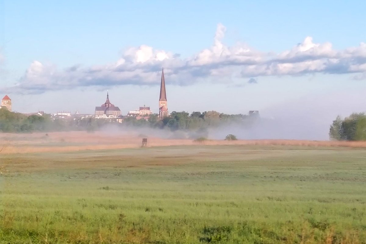 #Nebel über den #Warnow-Wiesen vor #Rostock heute #Morgen