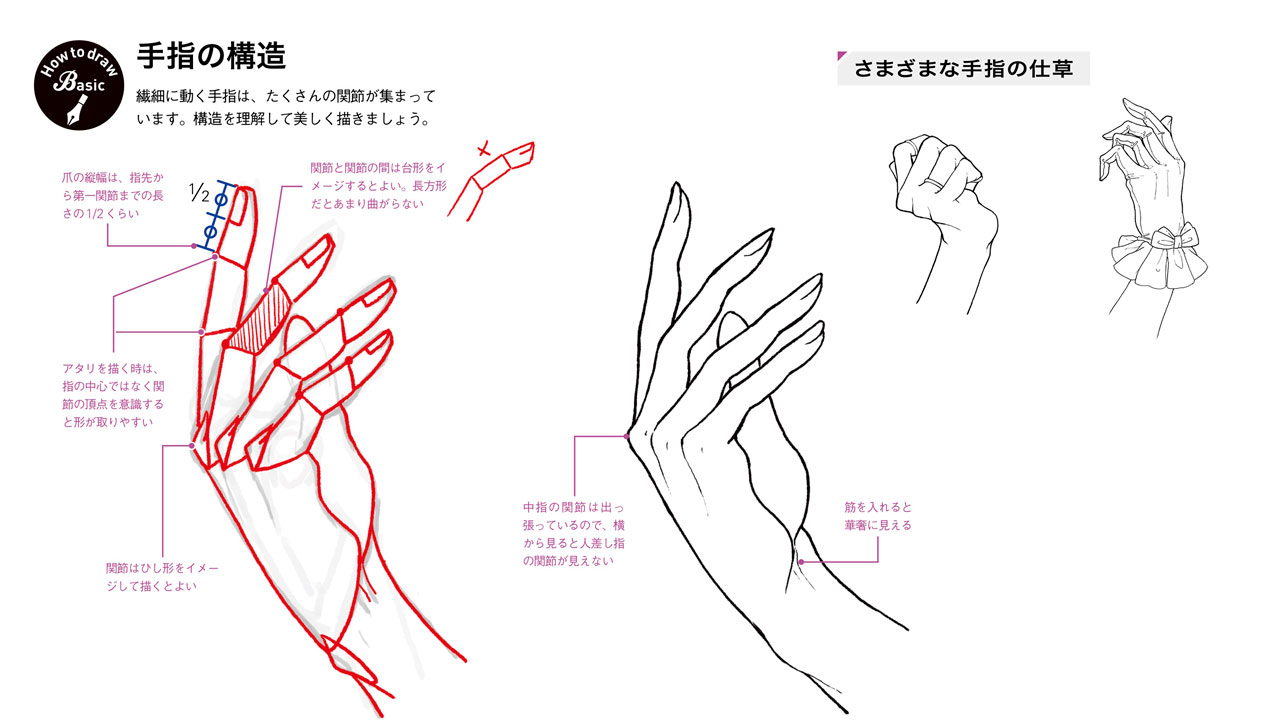 玄光社 超描けるシリーズ در توییتر 超描ネタ帳 手や指は関節がたくさん集まっているため とても複雑です 構造をきちんと理解してから描いていきましょう Kyachiさん Shirotumechika 著 動きのあるポーズの描き方 セクシーキャラクター編 T Co