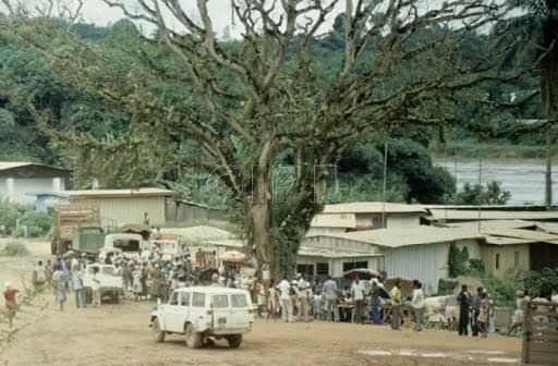 Ndjolé back in the 80's #TBThursday #Gabon