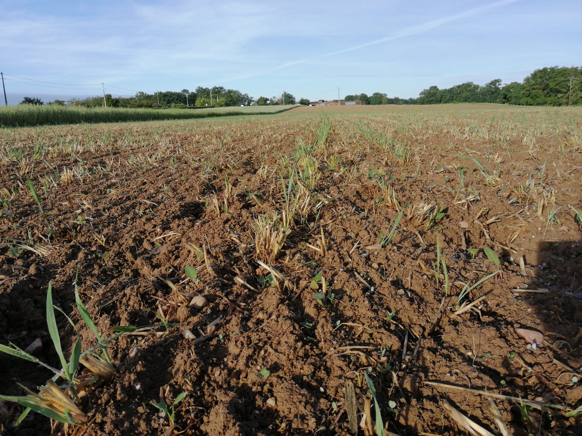 Exploitation Lycée Neuvy tweet media