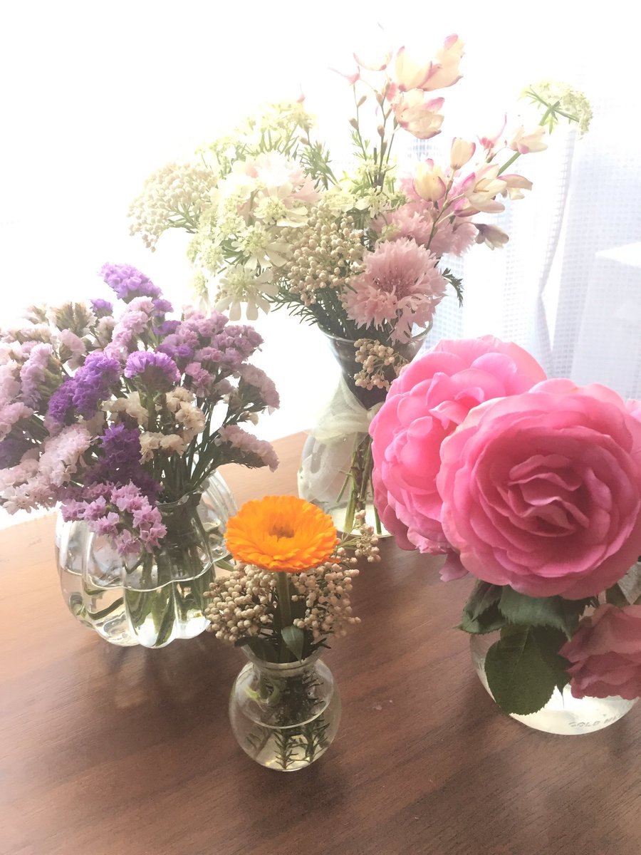 Uzivatel Sakizo 5月展示 画集発売 Na Twitteru キンセンカとホワイトレースも生け替えた ホワイトレースだけの花瓶にしてたのを水替えたらすごい匂いになってたので 匂いの原因はこの子だったわ もうちょっと控えめなら結構好きな匂いなのだけど 100 ホワイト