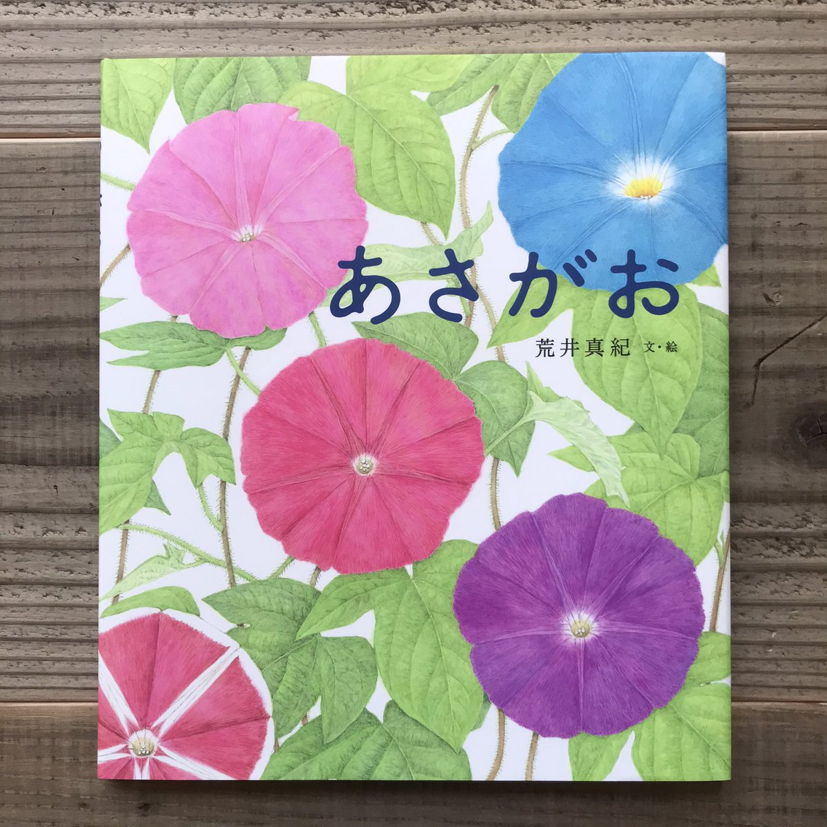 金の星社 子どもの本 Pa Twitter 自然のふしぎにみちたあさがおの一生を 美しい細密画で描いた絵本 あさがお T Co Dqrbllpo5sご紹介いただき嬉しいです 荒井真紀さんの科学絵本は 本当に美しいです あさがお 育ててみたくなりますよ