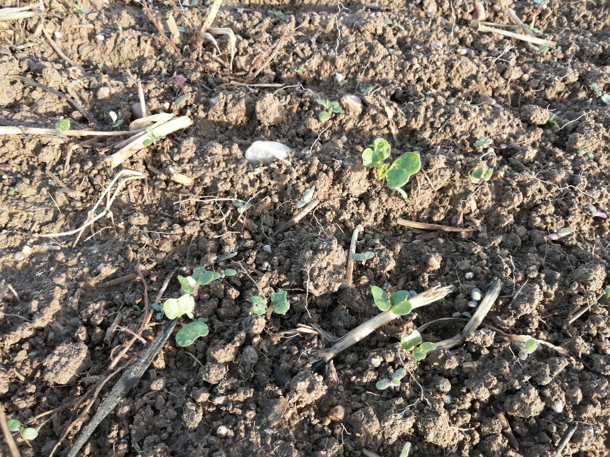 Exploitation Lycée Neuvy tweet media