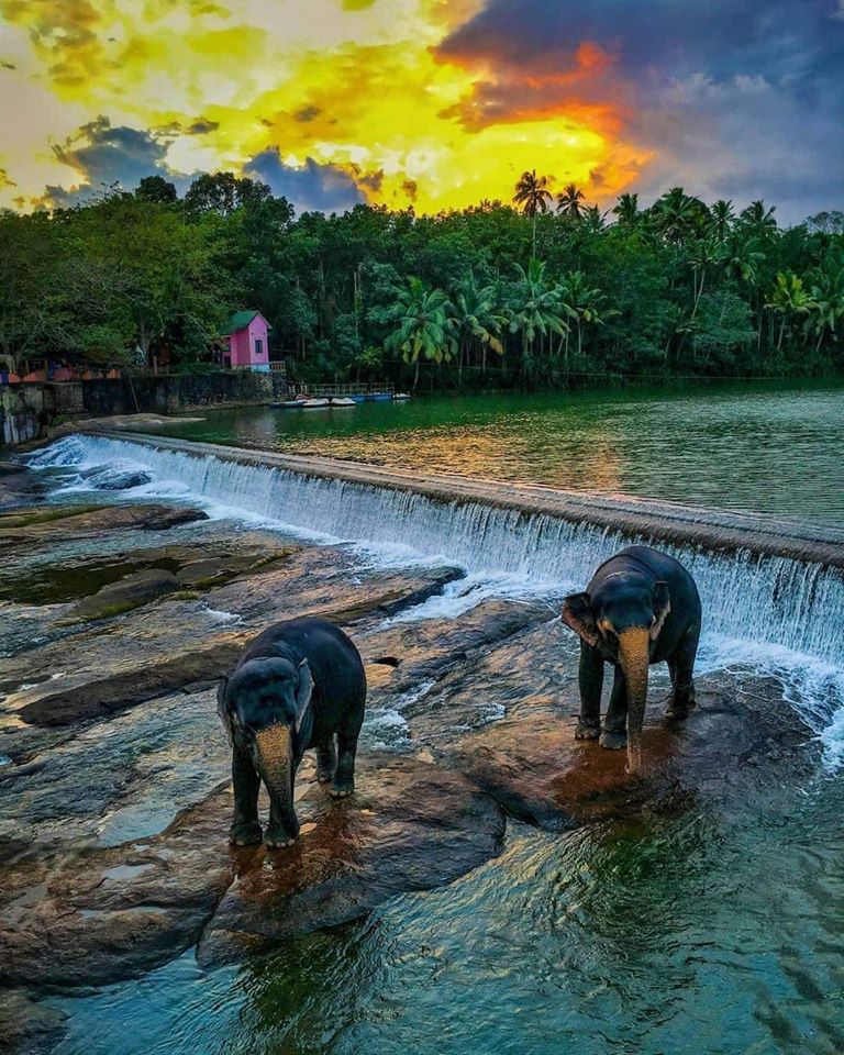 tripnxt's tweet photo. The southernmost town in mainland India. Kanyakumari
Book your unique tour: https://t.co/UBTVgO463I
#tamilnadu #kanyakumari  #southeastasia #sunrise #DAWN #swamivivekananda #vivekanandarock #sunrise  #naturelovers #ExploreLikeNeverBefore #tripnxt #IndiaFightsCorona #india https://t.co/UWQ42a0xVo