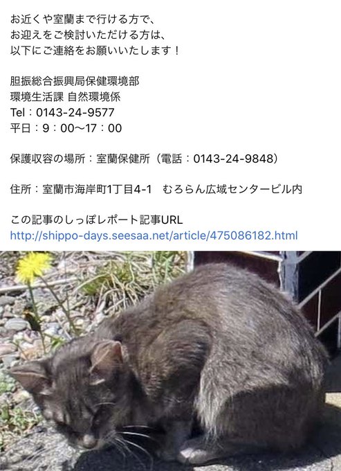 室蘭のtwitterイラスト検索結果