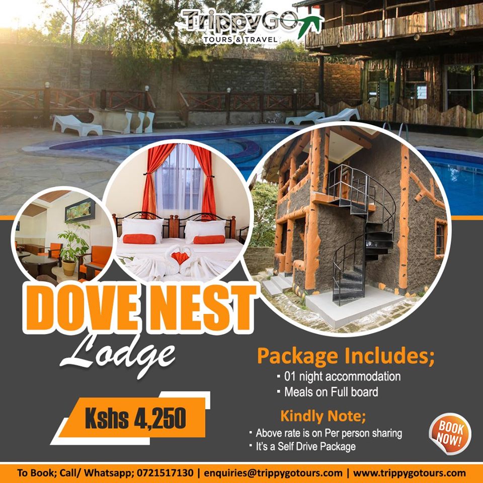 trippygotours's tweet photo. The perfect post #rona budget getaway deal. DOVE NEST LODGE in Naivasha for only KSHS 4,250 per person sharing for 2 Days & 1 Night. Take Advantage of our Malipo Ya Pole Pole Sana payment plan.
#travelwithtrippygo #budgetholidays #fungetaway #dovenestlodge #deals #traveltomorrow https://t.co/YMoad3nQO7