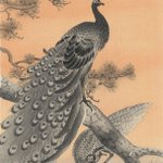 main image of this resource