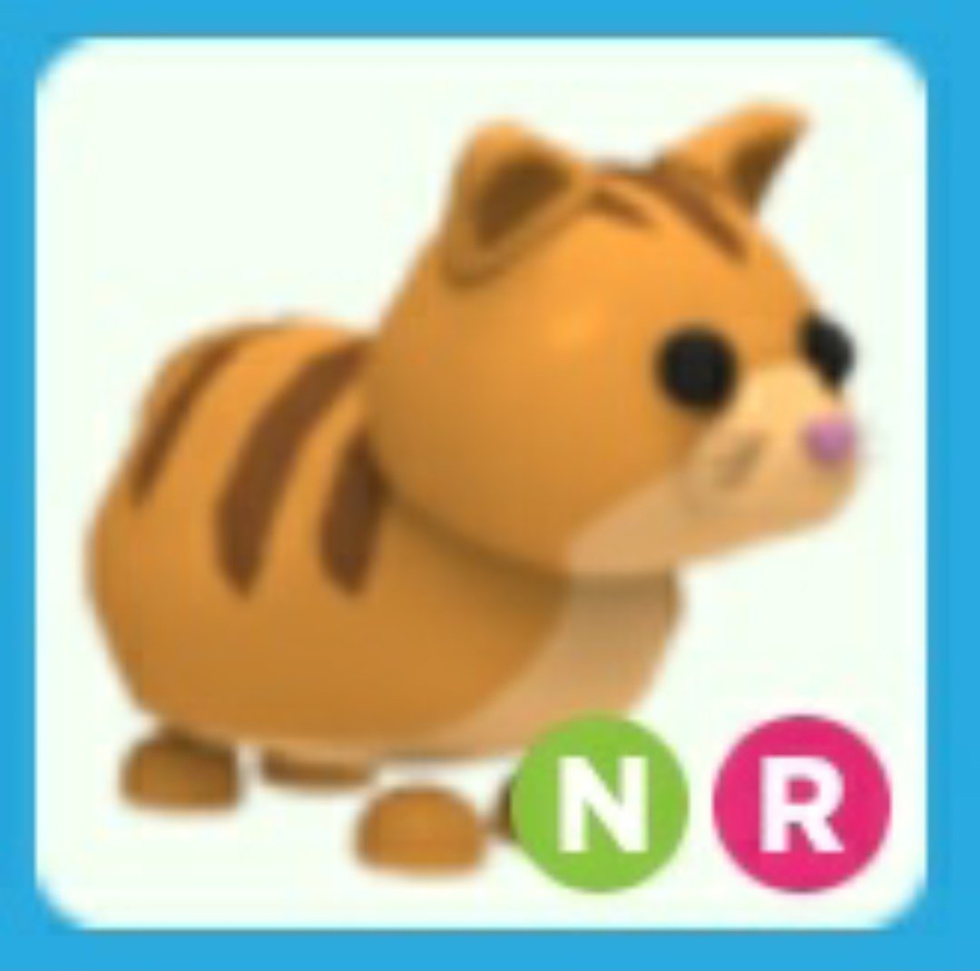 WhiteTigerGirl2's tweet photo. Offers?
Lf:
Neon Kangoroo/turtle
Neon Bat (or 2, FR bat)
Neon Toucan
Neon Star fish
Feel free to offer
#Adoptmetrades #adoptme #adoptmetrader #adoptmetrading #AdoptMePets #adoptmetrades #adoptmetrade #adoptmetradings #adoptmr #adoptmecc #adoptmeneons #adoptmegingercat #gingercat https://t.co/gZuEPPOHPZ