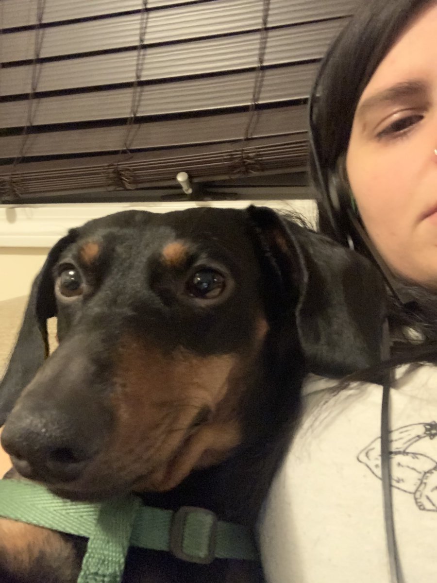 RelFe1's tweet image. 