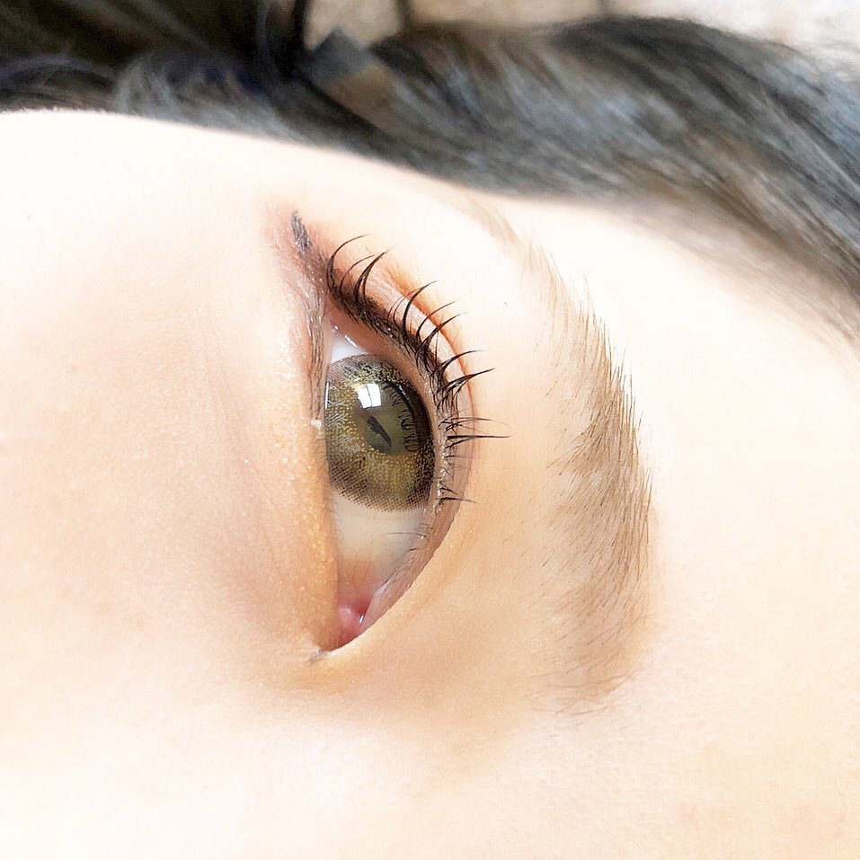 Lily Eyelash Salon Eyelist12 Twitter