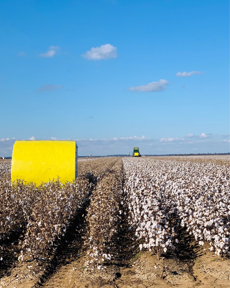 Summit Ag Agricultural Consulting tweet media