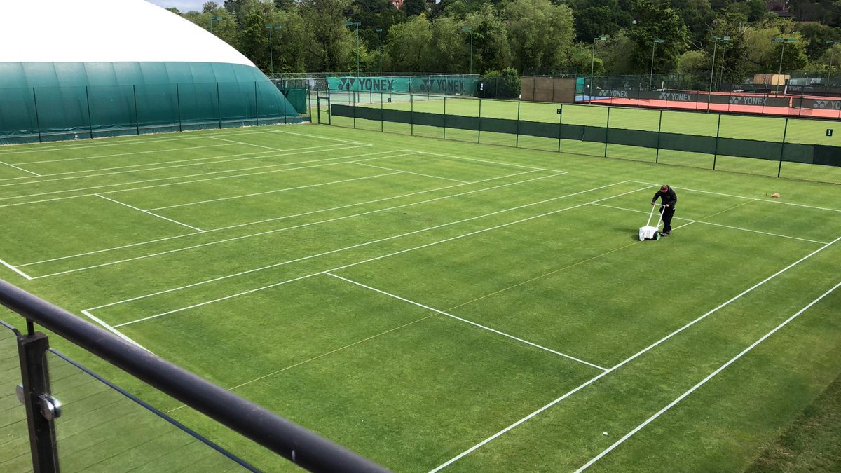 The Green Green Grass of Home ☀️