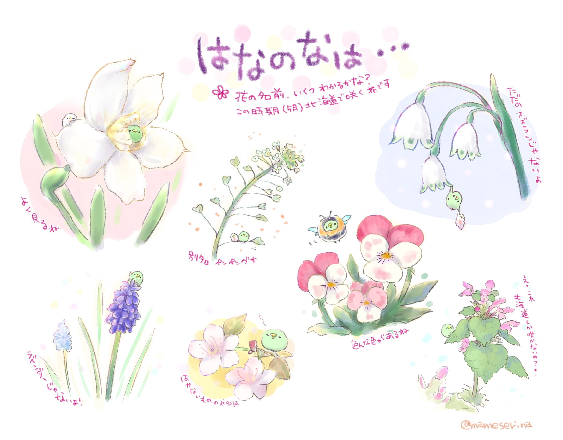 せりな まめ はなのなは お花の名前 わかるかな の答え ヒメオドリコソウに至っては何度見ても忘れる 水仙やスズランも色んな種類がありますね まめのつぶやき まめday50 おうち時間を楽しもう イラスト好きさんと繋がりたい イラスト好き