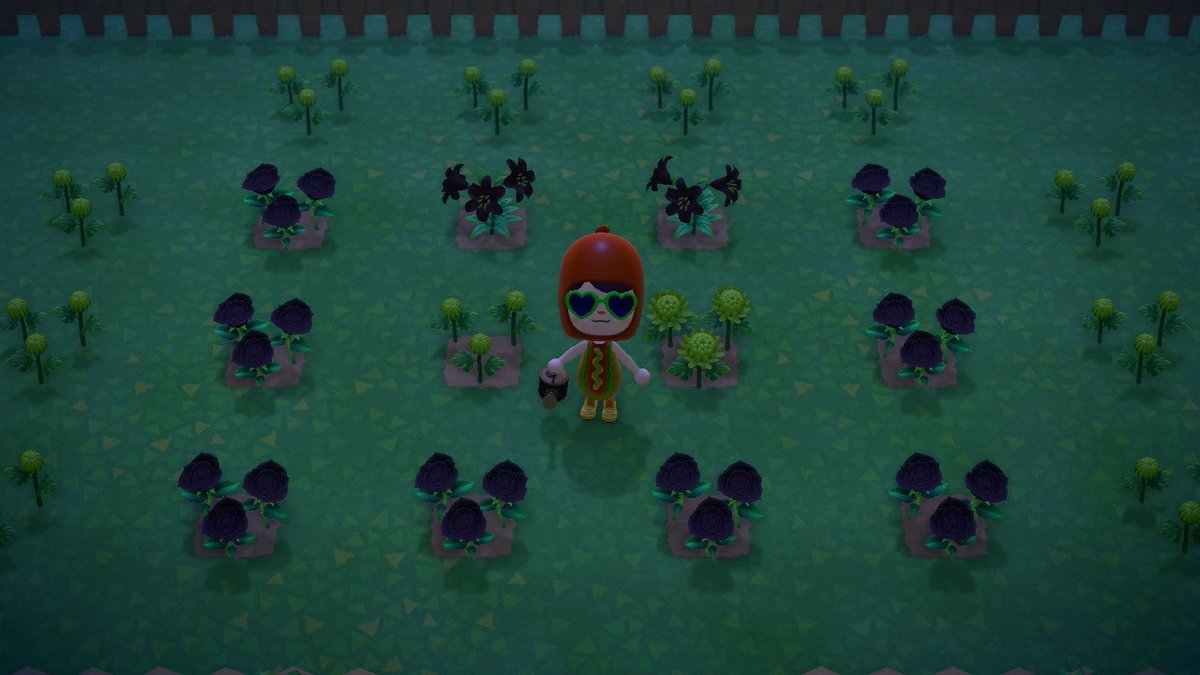 ackait's tweet photo. I will pay each person 1 NMT to come water my flowers! Dm me! #acnh #ACNHTRADE #acnhtrades #acnhtrading #dodocodes #dodocode https://t.co/tas0jKUYAc