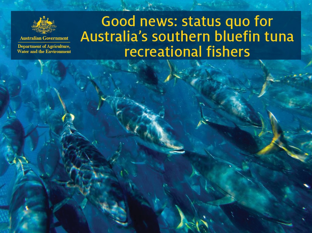 Recreational southern bluefin tuna fishers can continue to fish into the future, just as they are today, following preliminary results from a world leading scientific survey. Read more: bit.ly/3fM6leI