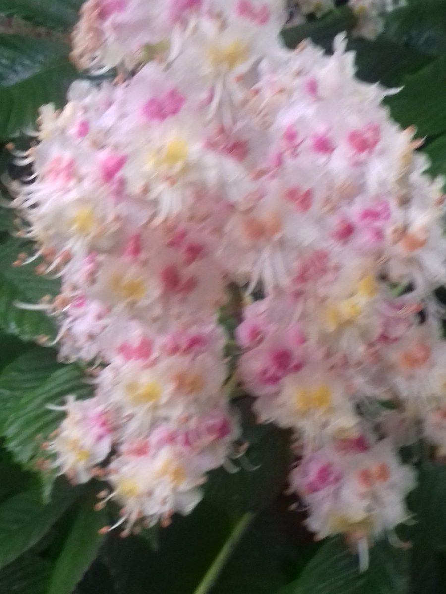 Artfaithb's tweet image. Hey kind people of the world, just wanted to send some 🌸🌺🌷take good care of yourselves..