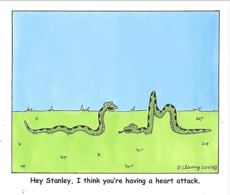 9Jopalmer9's tweet image. 🤣🤣
#student #simplefun