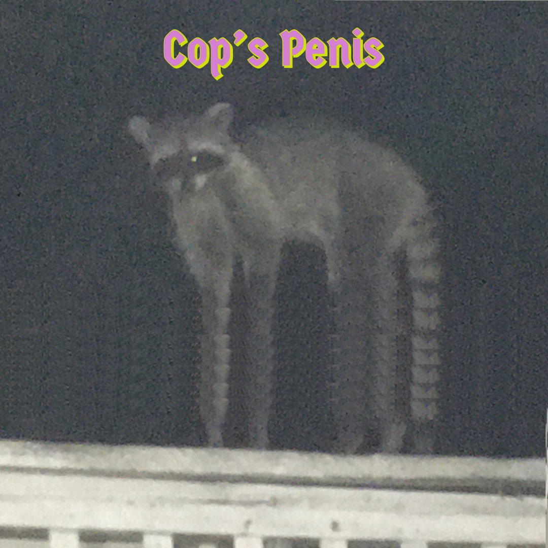 BicPapermate's tweet photo. I want to start a soft rock band called cop’s penis. https://t.co/8OU79kvxNQ