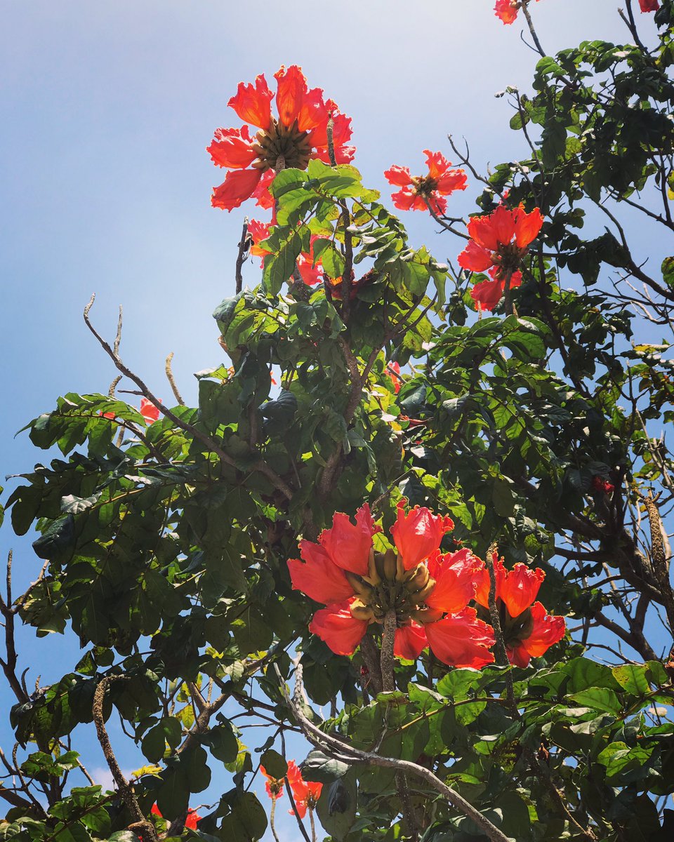 要注意外来生物