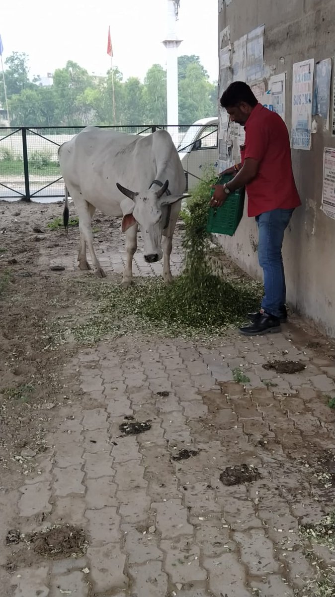 Bhartiya Gau Raksha Dal tweet media